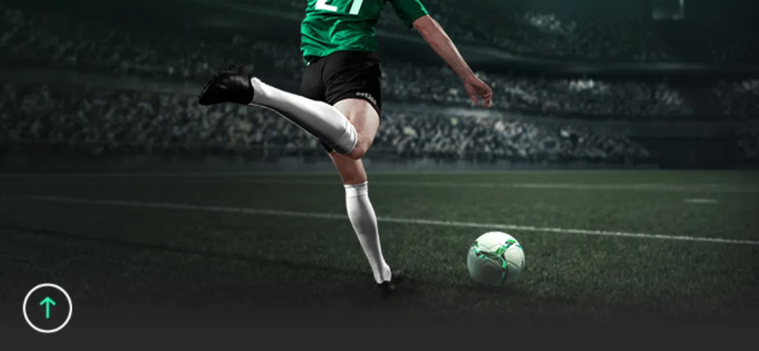 阜新篮球学,中国篮协直,属概览,365体育app下载,365体育官网,365体育官方网站,365体育平台