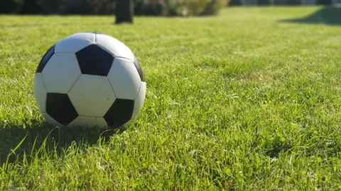 埃迪-豪获纽卡高层坚定支持：舆论漩涡中，信任如磐