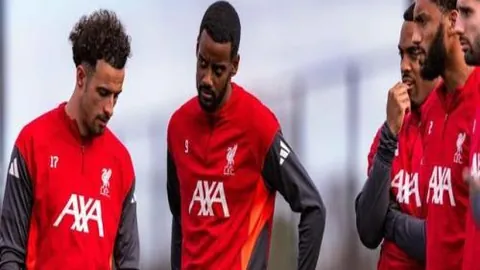 “驻华使节新春之旅：感受非遗魅力，领略春节别样风情”